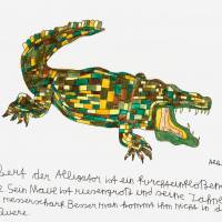 albertmassernr37 ergebnis
