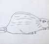 biber