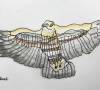 bussard
