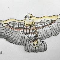 bussard