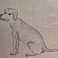 hund magnus sitzend