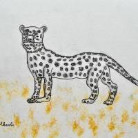 leopard