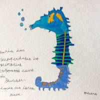 maria das seepferdchen