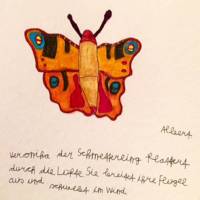 veronika der schmetterling